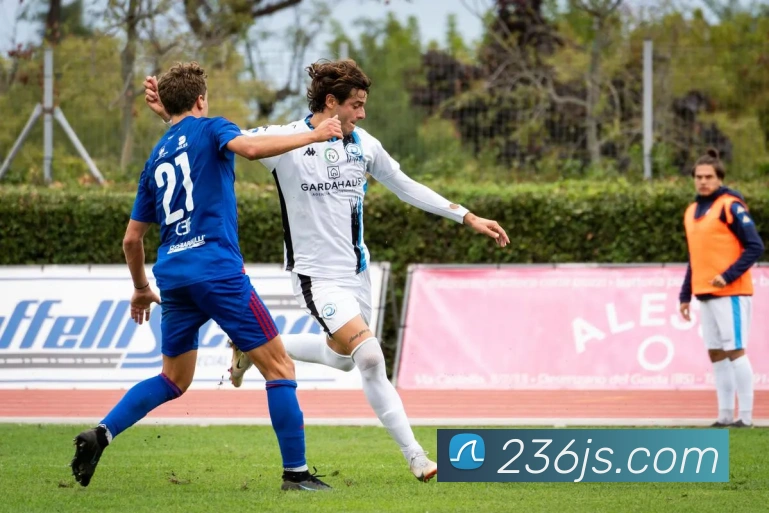 金沙国际官网平台生态图